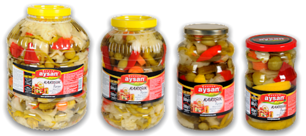 Aysan